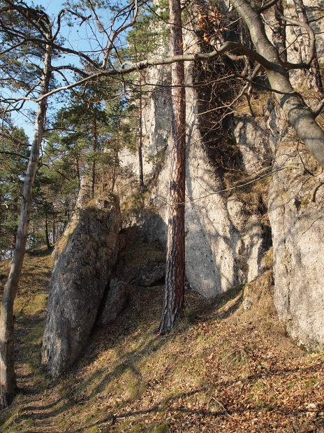 skaly a lesík