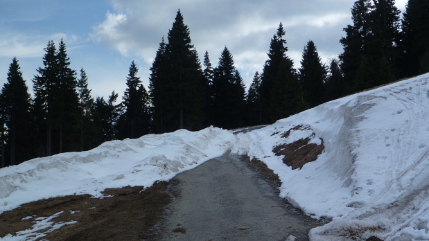snehová cesta